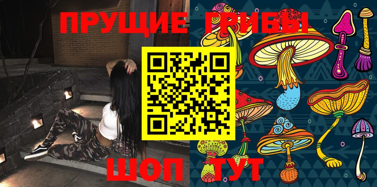 Псилоцибиновые грибы Куйбышев