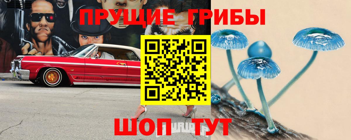 Псилоцибиновые грибы Psilocybine cubensis Куйбышев