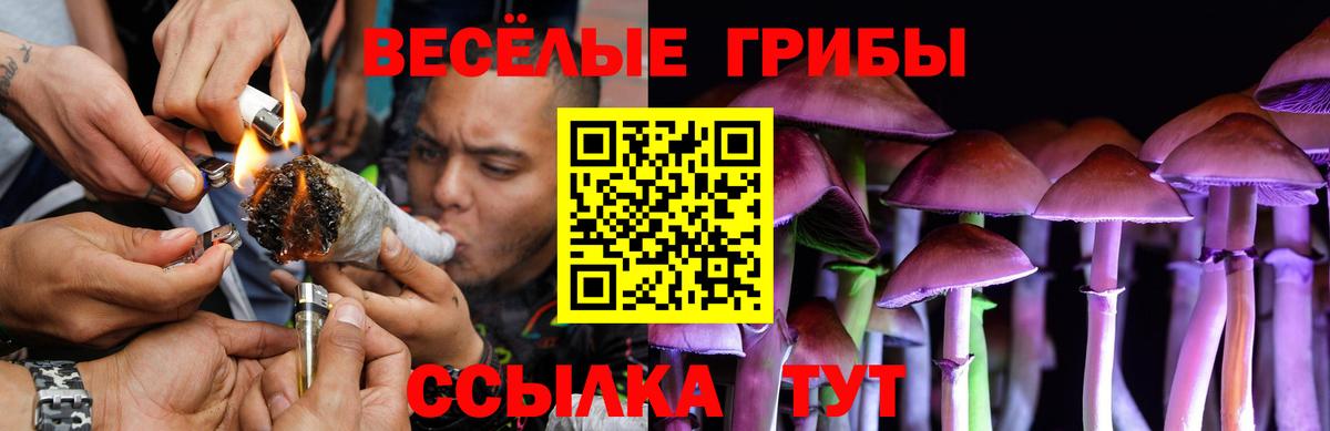 Галлюциногенные грибы Psilocybe  Вход с VPN  Куйбышев 